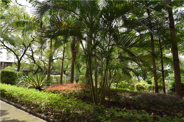 2CD5E7D78BB507E7DBD64995C2A_3FACF345_2F372