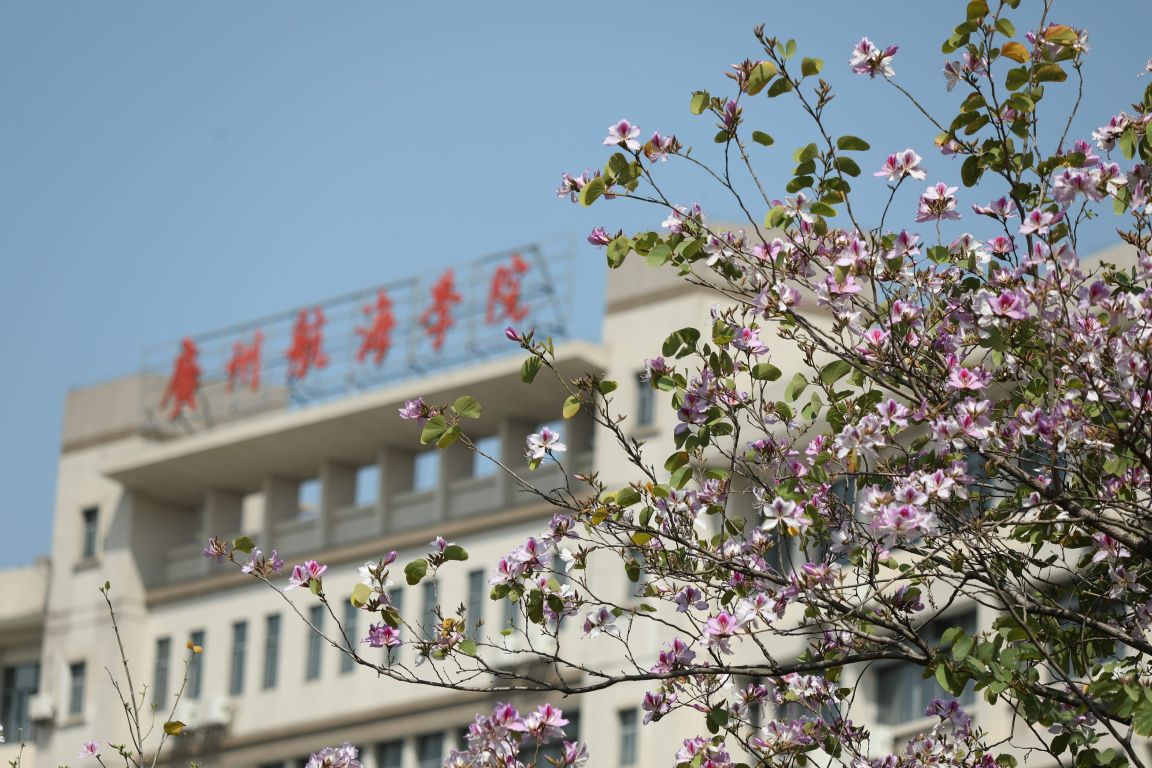 8ED4448522767BF371676F4153C_CEC6AD20_2C4D8