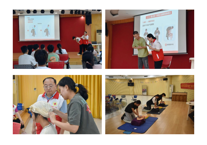 09DBD03B02E2E938BACD1AECAB1_733233A6_9AE6A 09DBD03B02E2E938BACD1AECAB1_733233A6_9AE6A