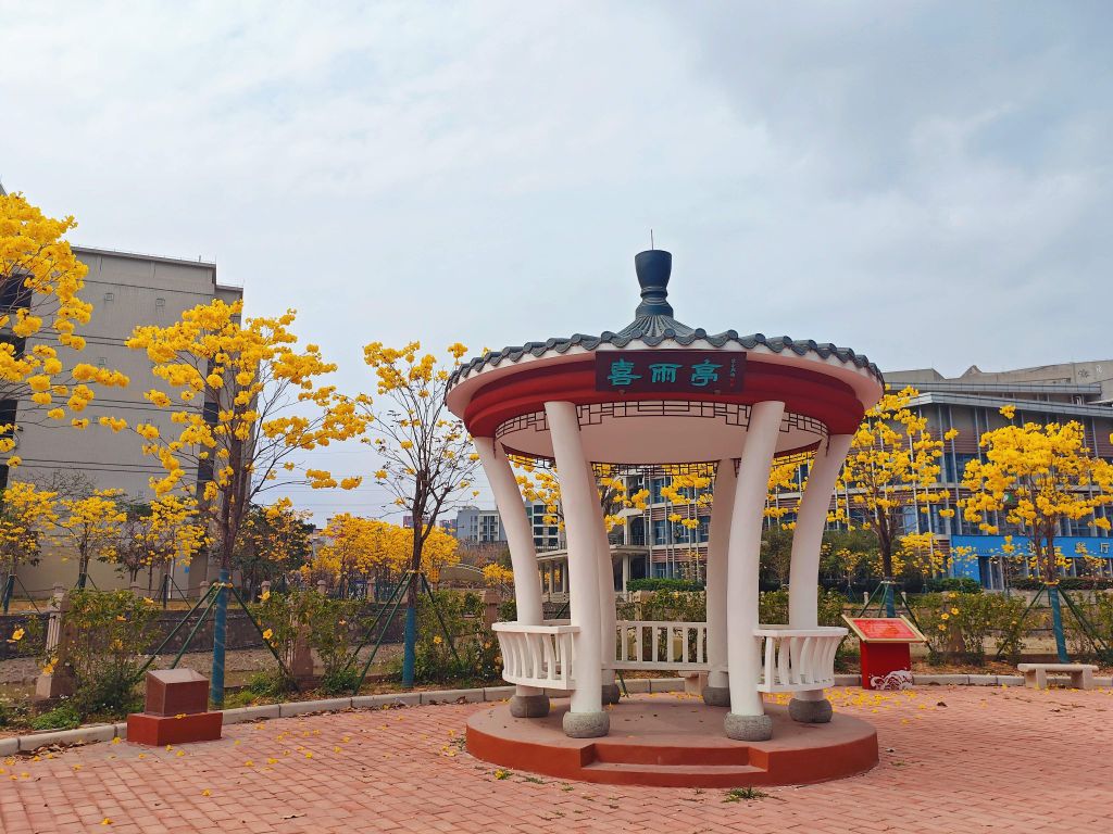 5B43751B177A2452E3E5D67EAA3_C7D7D8B6_277B9