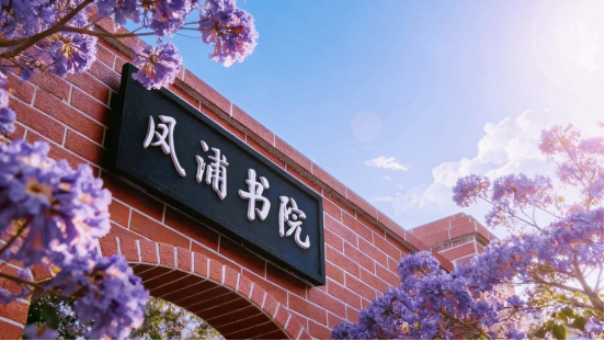 4CB1FCC8FBE73D3A95256546770_649737E9_A8038