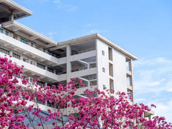 E5FD1F0CAD6F3DD2FE53D26250A_EA6DC65B_E099B