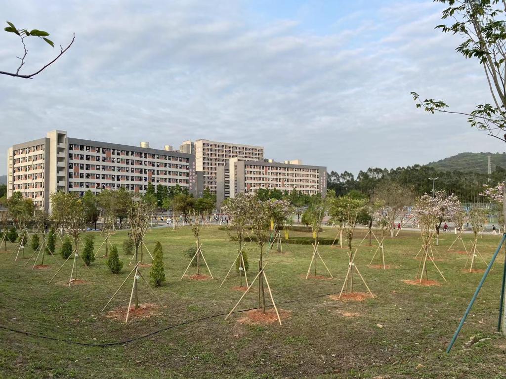 BEB655F1BC458EA8A199D5F13FF_78F65953_27162