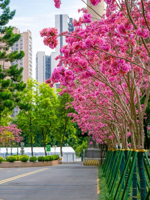 3600BAF5933B41305AEAA98FD01_CB436112_2245C