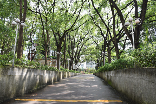 635D524991B46F411E1FF4218E6_981AA812_2C495