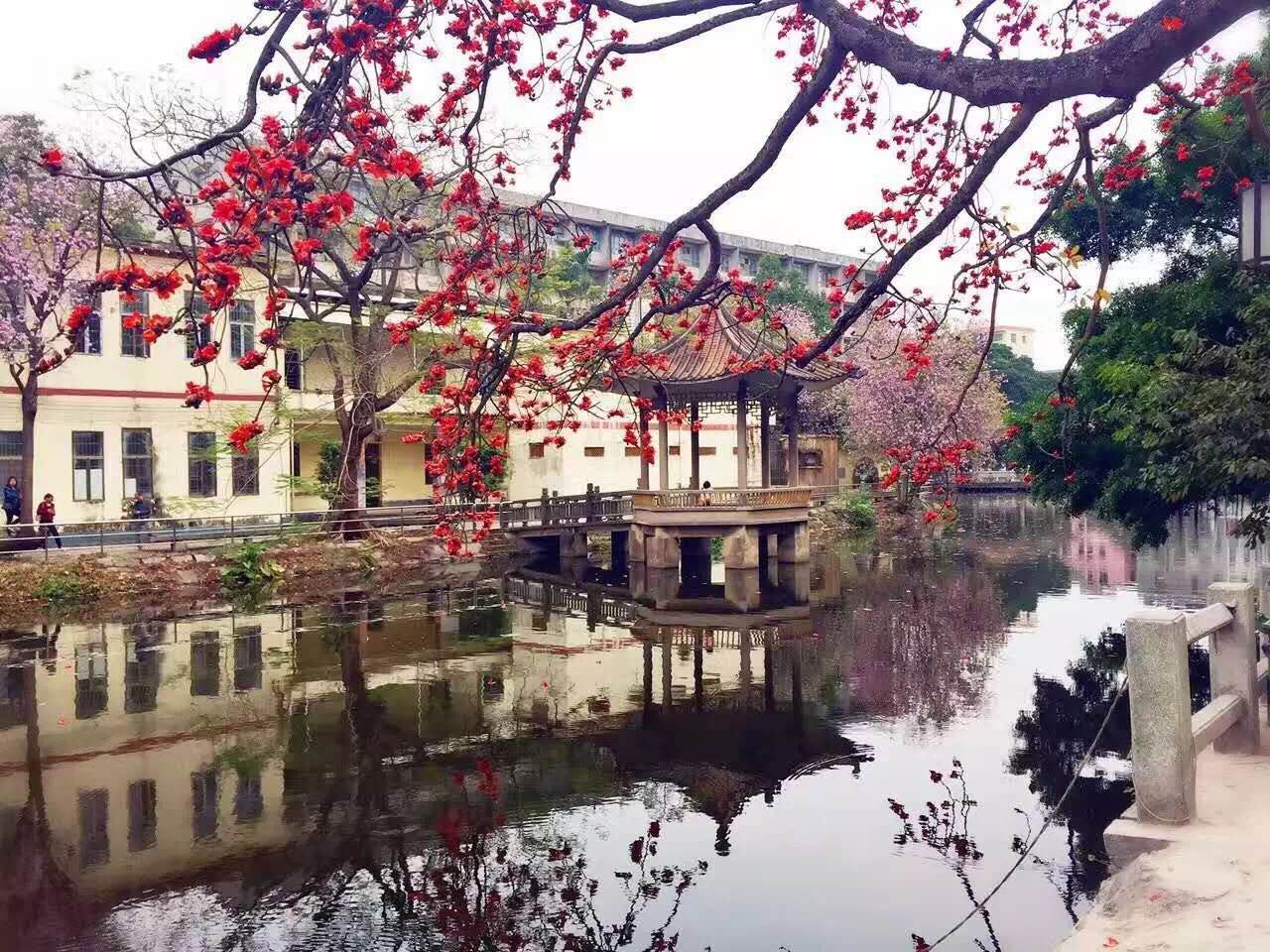 DBF71F63A343D2188B5E3731F77_63FF5C8A_39F7D