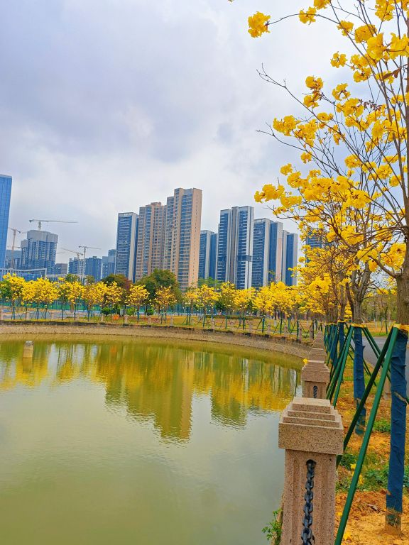 49FEB46F2533C1DE6FBE5E1F0F8_3CECE593_18353